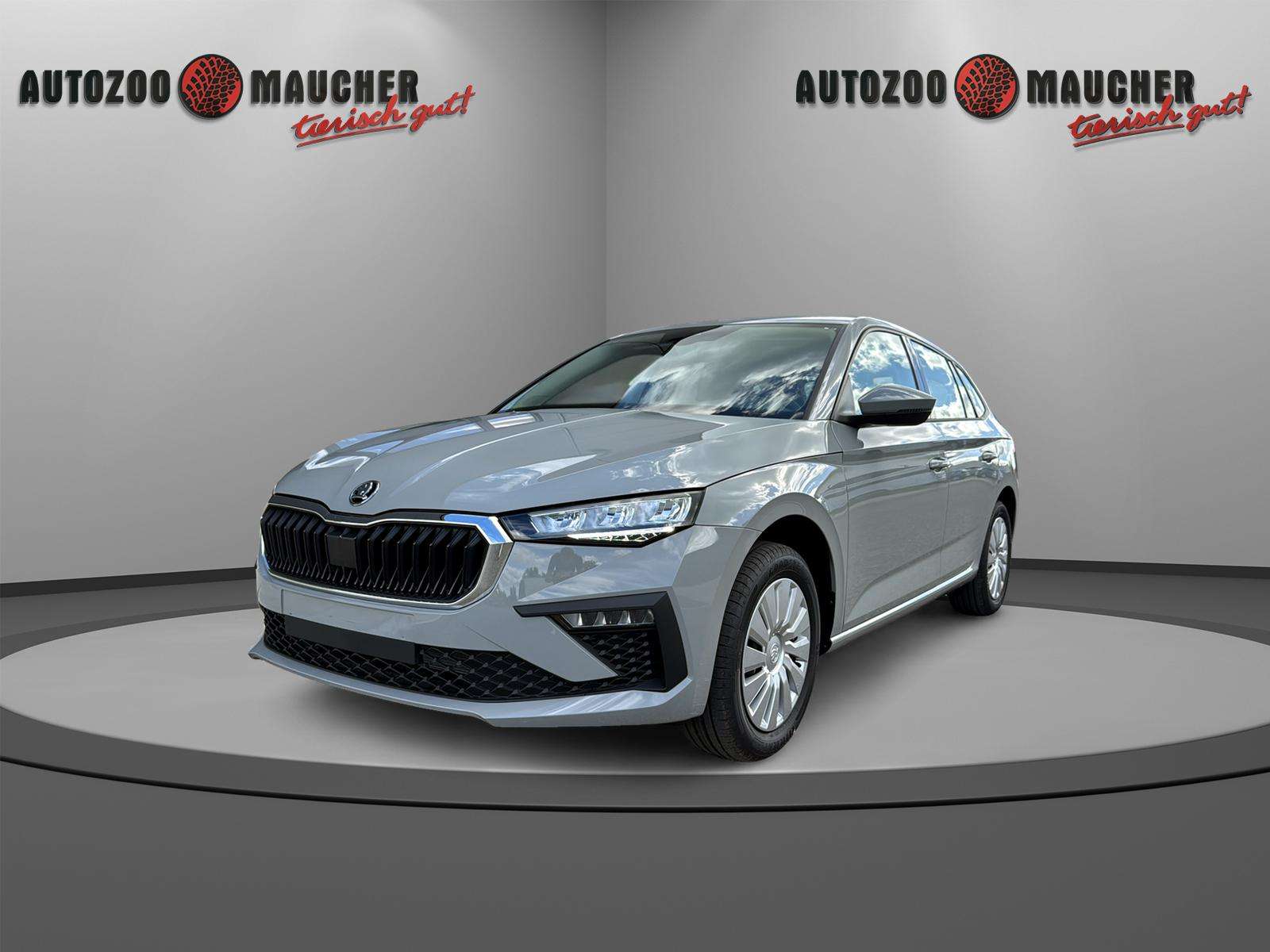 Fahrzeugbild eines Skoda Scala