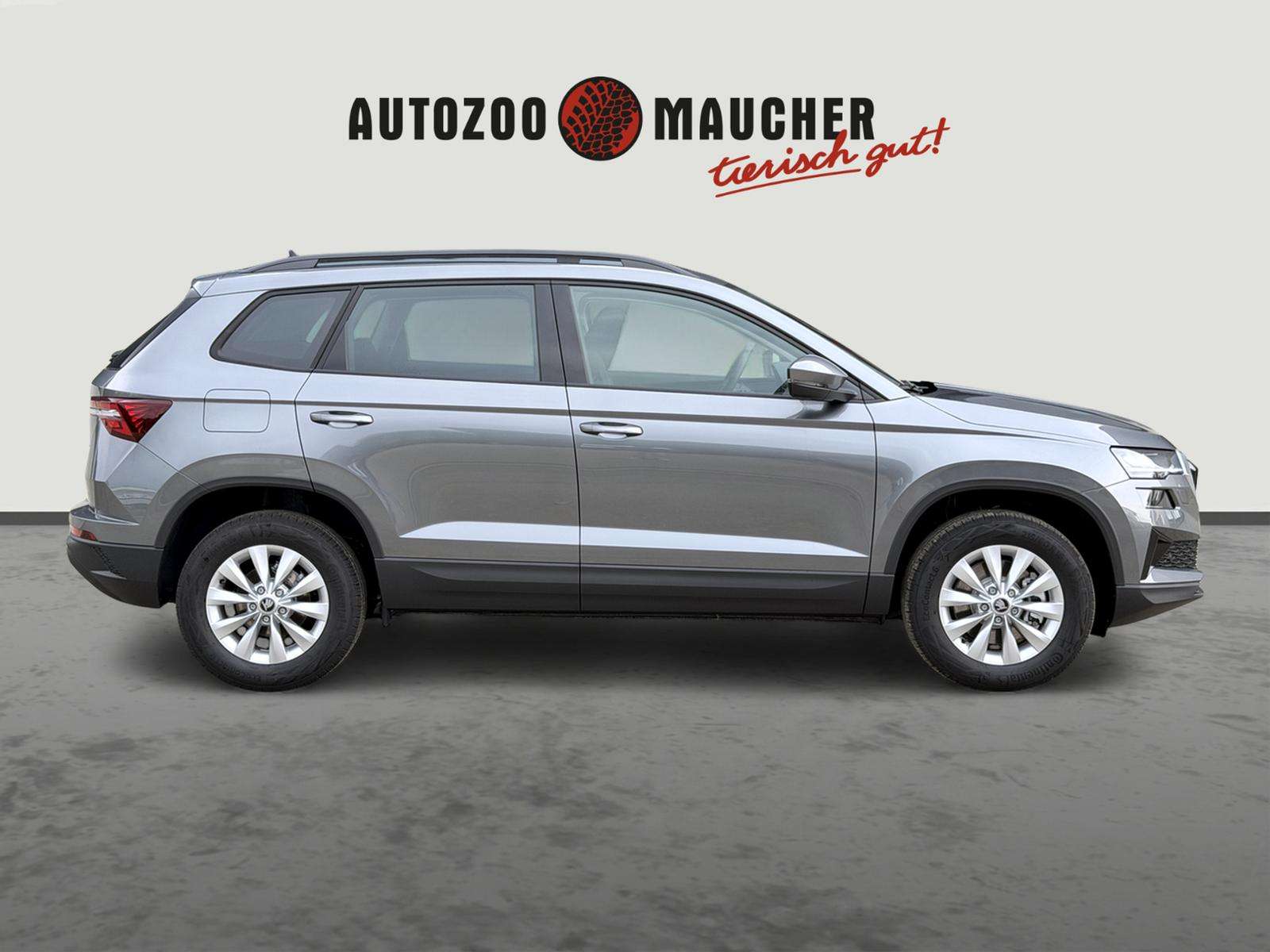 Fahrzeugbild eines Skoda Karoq