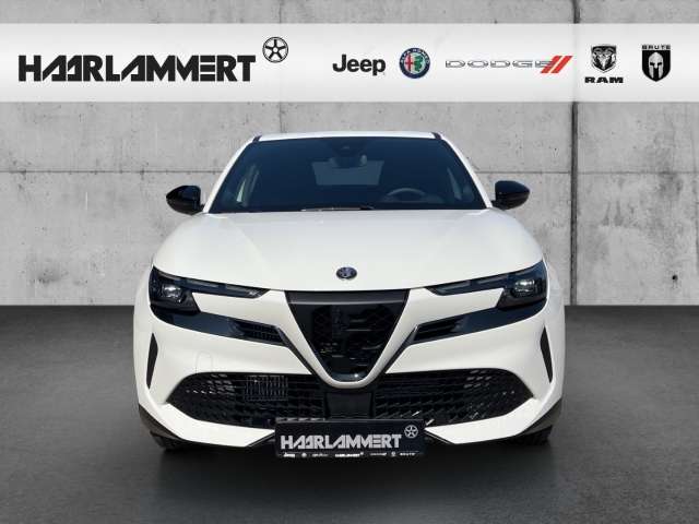 Fahrzeugbild eines Alfa Romeo Junior