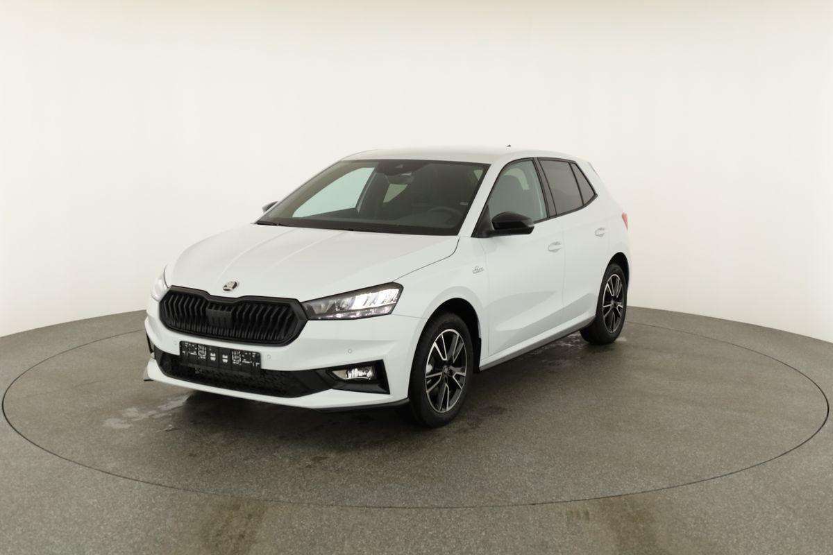 Fahrzeugbild eines Skoda Fabia