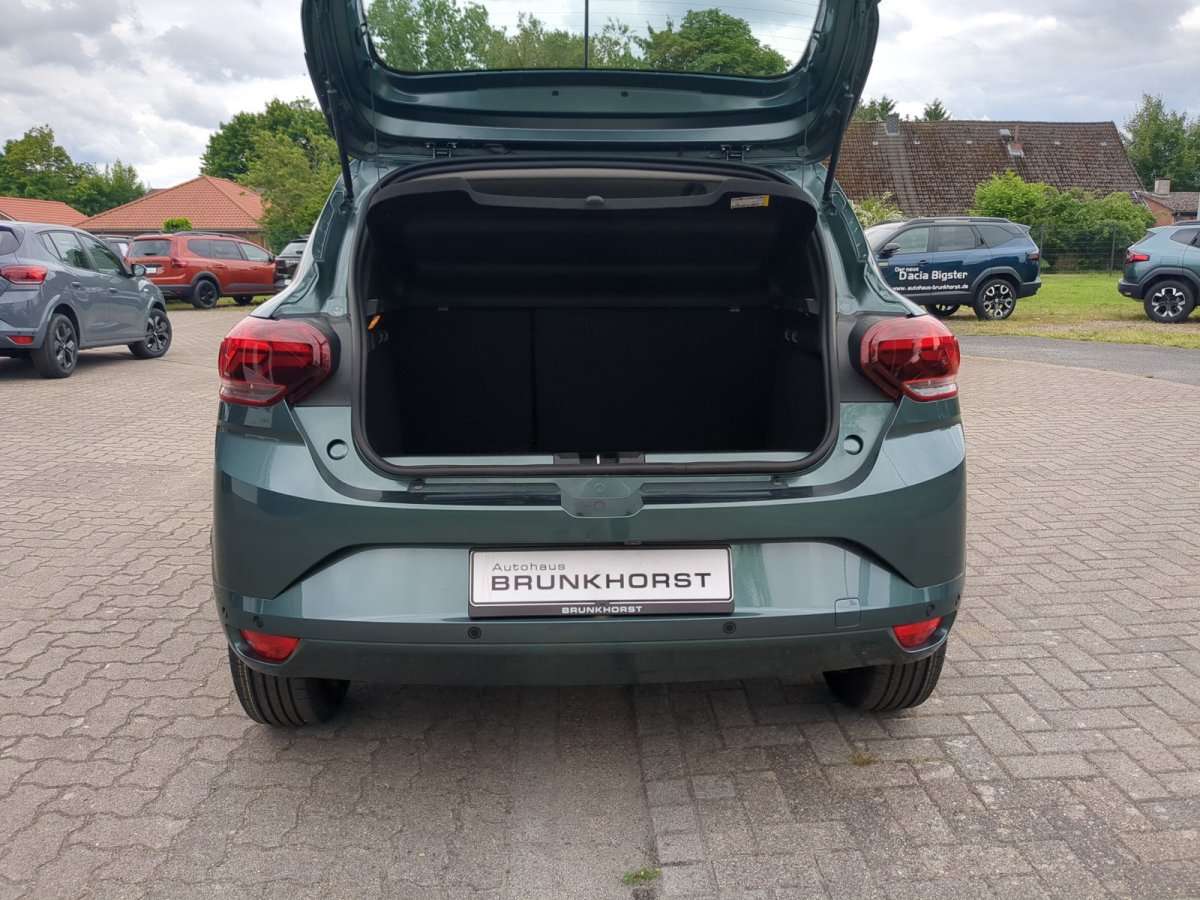 Fahrzeugbild eines Dacia Sandero