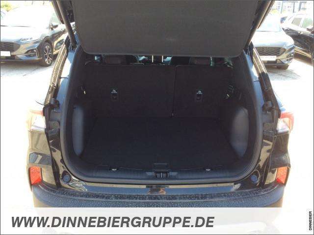 Fahrzeugbild eines Ford Kuga