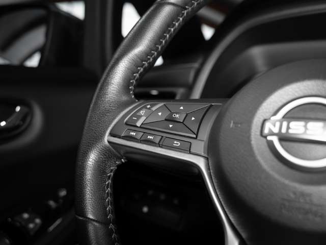 Fahrzeugbild eines Nissan Leaf