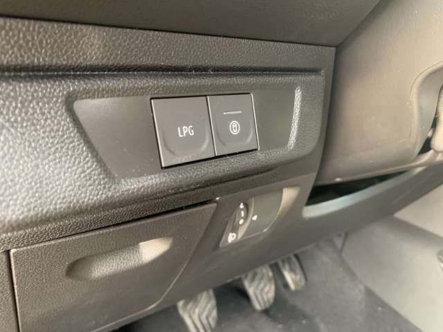 Fahrzeugbild eines Dacia Sandero