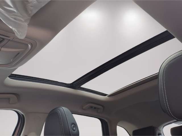 Fahrzeugbild eines GWM Haval Jolion Pro