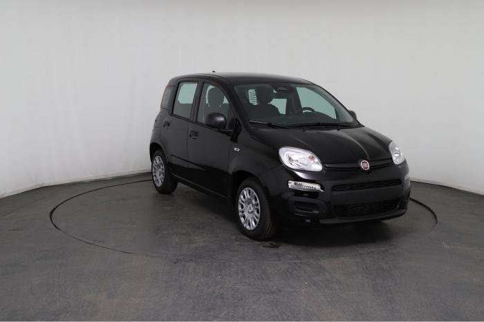 Fahrzeugbild eines Fiat Panda