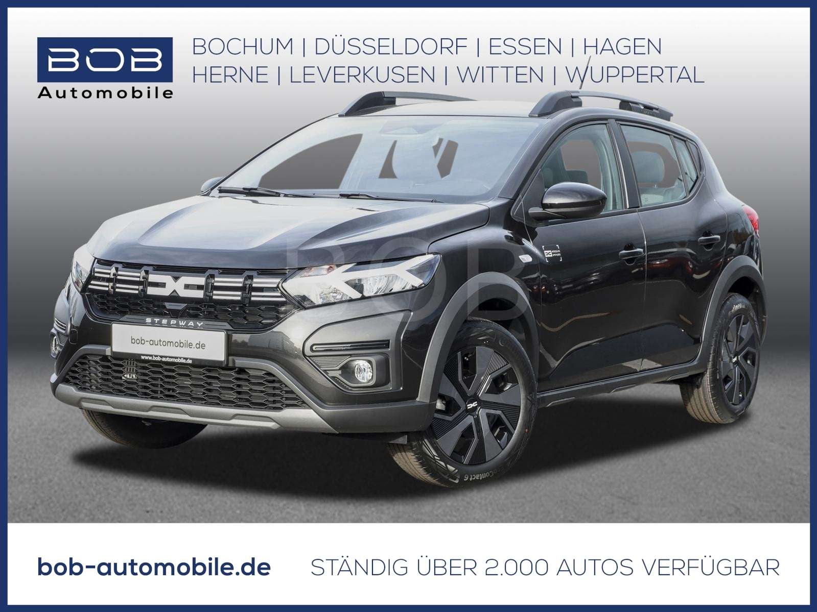 Fahrzeugbild eines Dacia Sandero