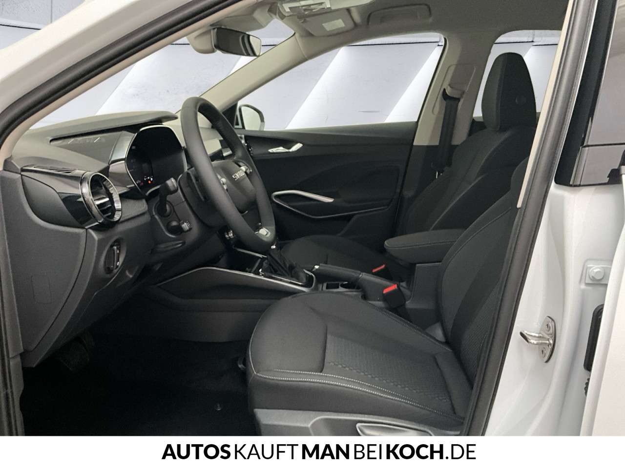 Fahrzeugbild eines Skoda Fabia