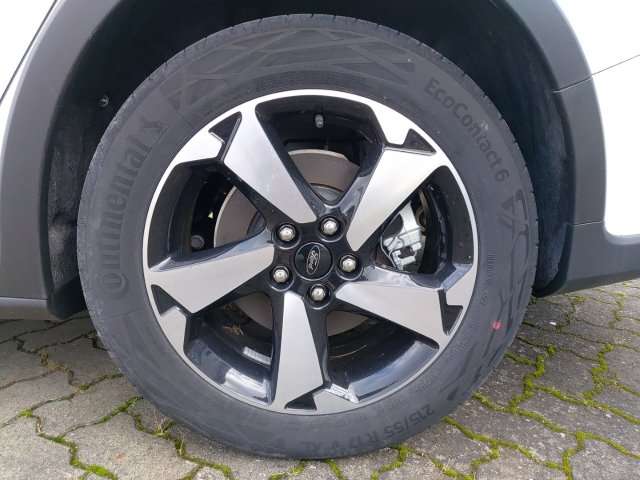 Fahrzeugbild eines Ford Focus