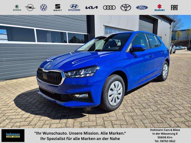 Fahrzeugbild eines Skoda Fabia