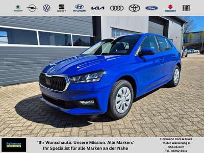 Bild Skoda Fabia