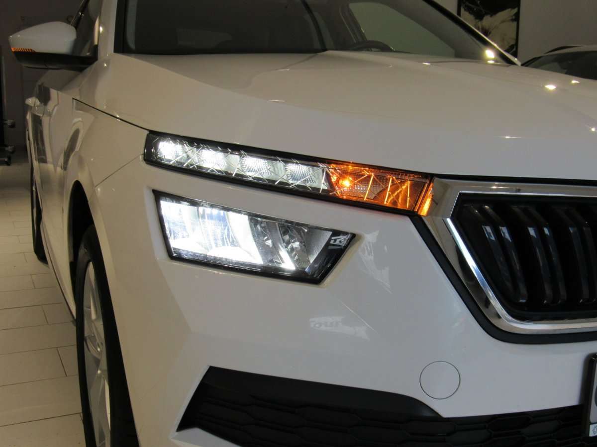 Fahrzeugbild eines Skoda Kamiq