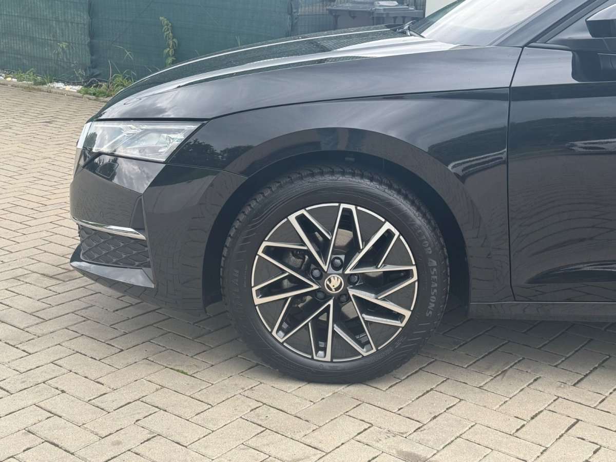 Fahrzeugbild eines Skoda Octavia