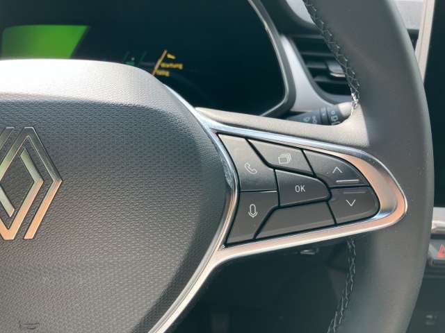 Fahrzeugbild eines Renault Symbioz
