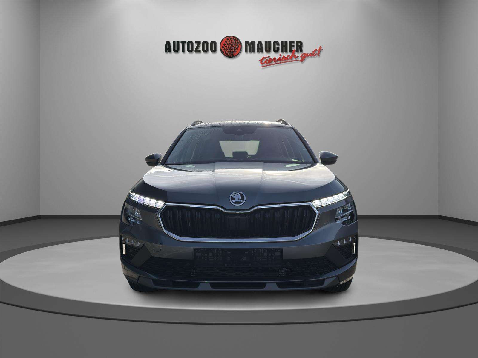 Fahrzeugbild eines Skoda Kamiq