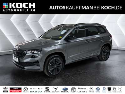 Bild Skoda Karoq