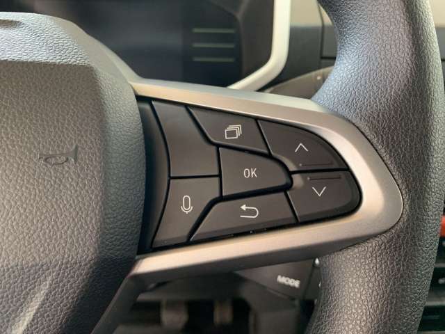 Fahrzeugbild eines Dacia Spring