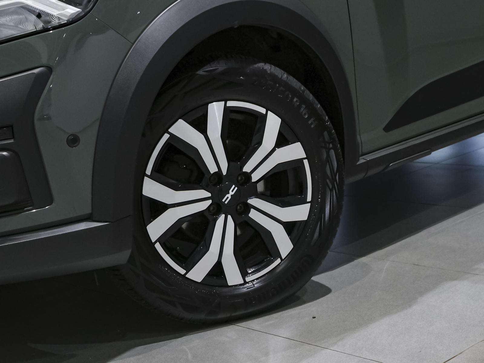 Fahrzeugbild eines Dacia Sandero