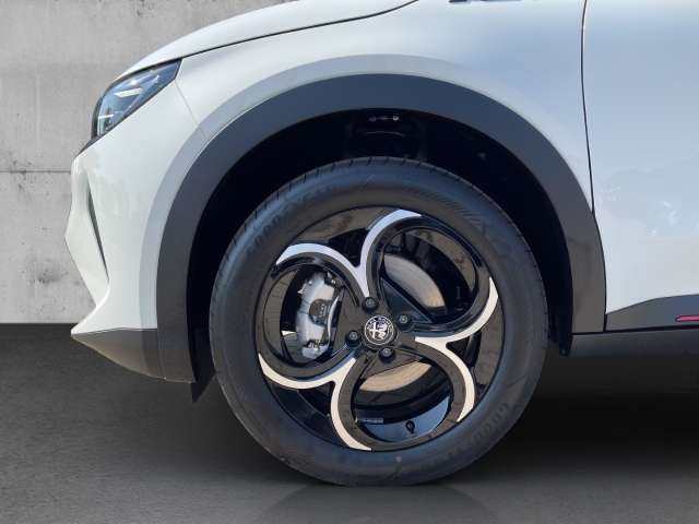 Fahrzeugbild eines Alfa Romeo Junior