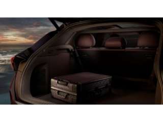 Fahrzeugbild eines CUPRA Terramar