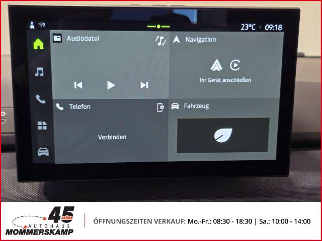Fahrzeugbild eines Dacia Sandero