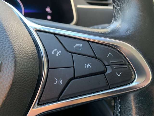 Fahrzeugbild eines Renault ZOE