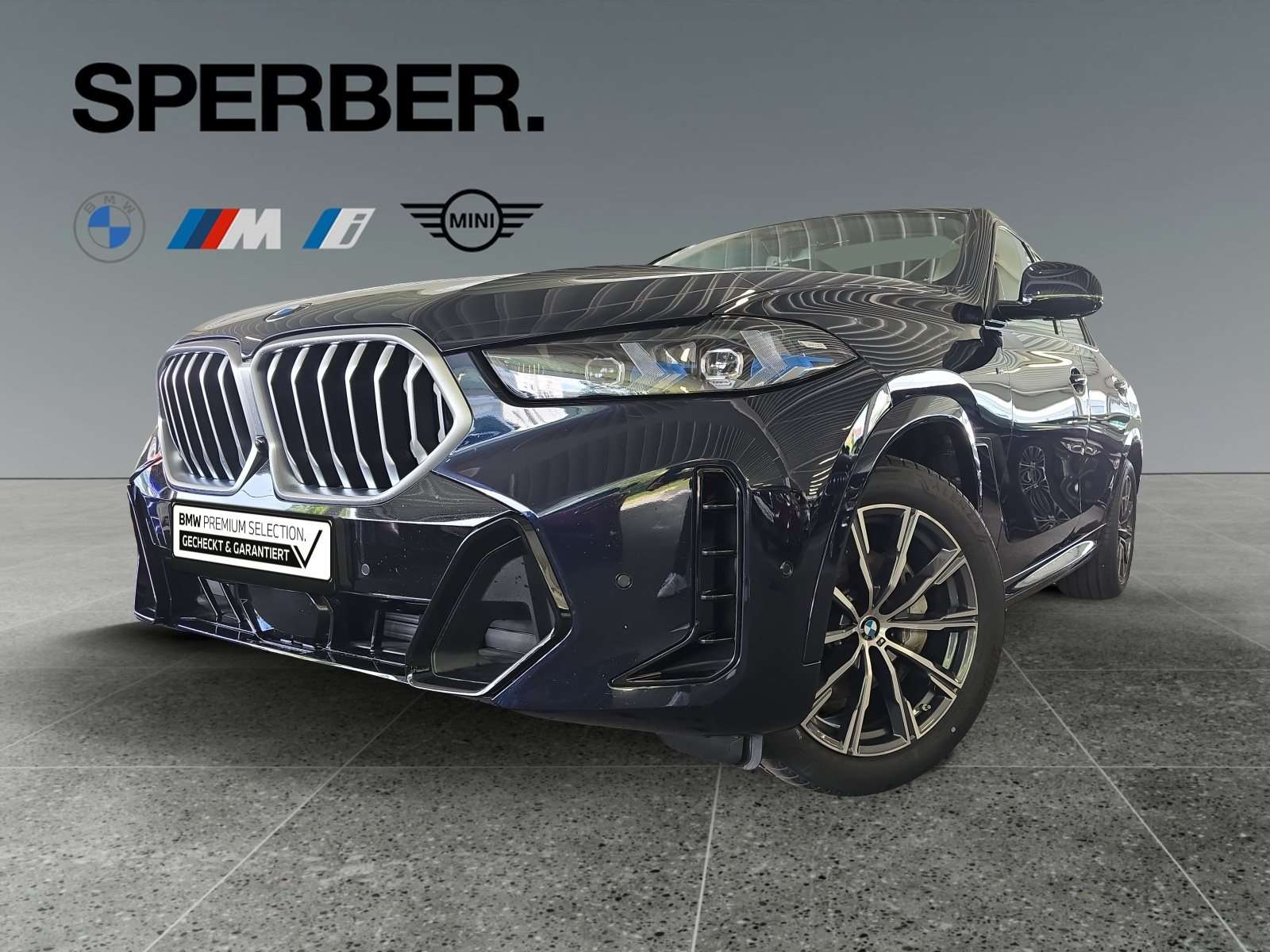 Fahrzeugbild eines BMW X6