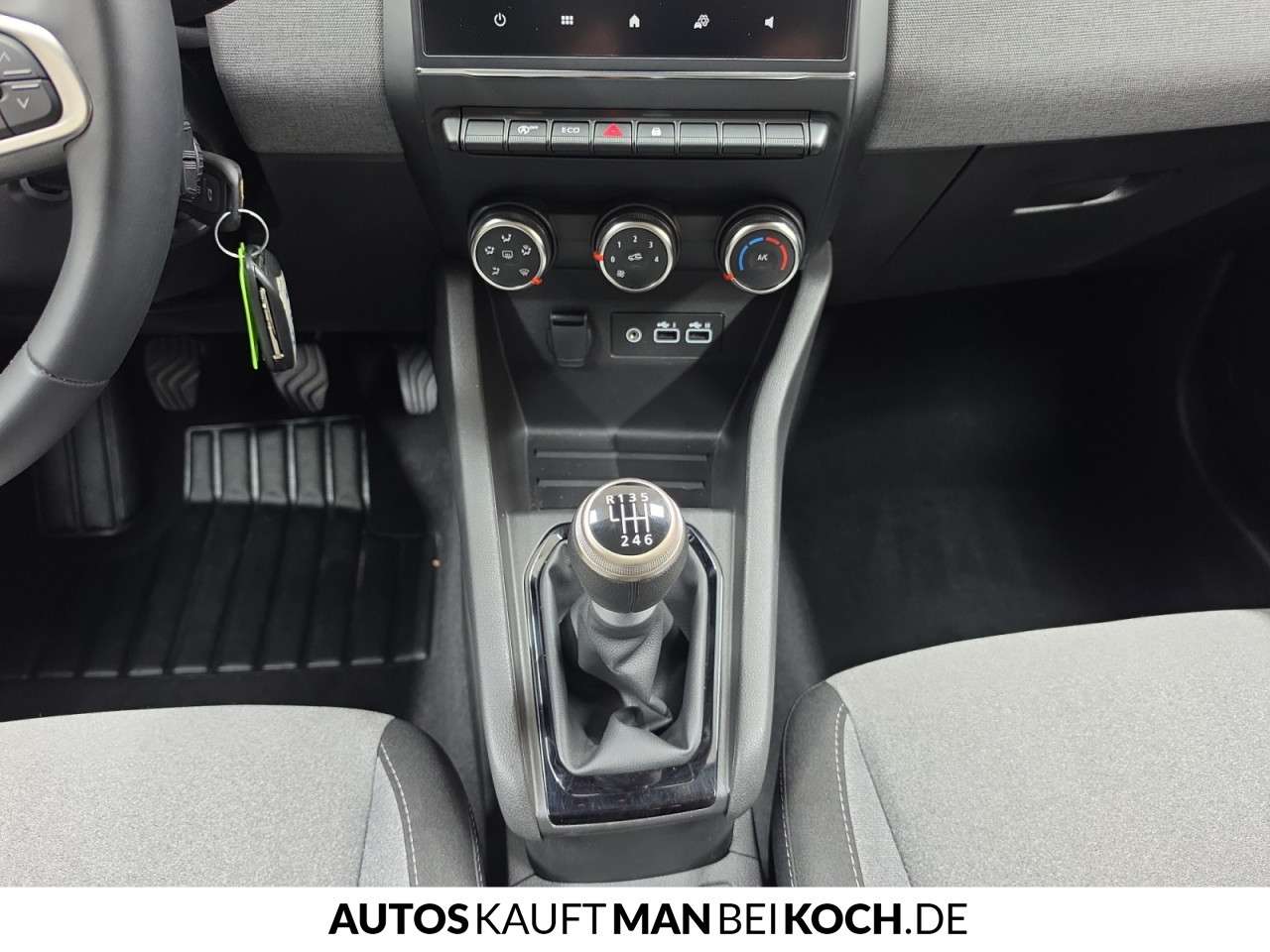 Fahrzeugbild eines Renault Clio