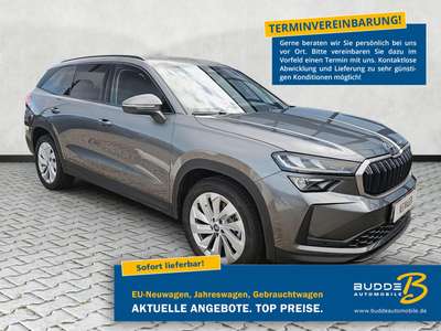 Bild Skoda Kodiaq