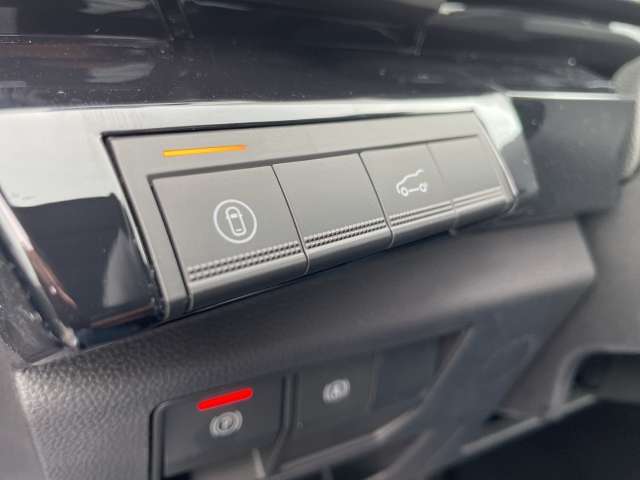 Fahrzeugbild eines Renault Rafale