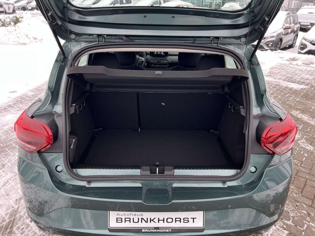 Fahrzeugbild eines Dacia Sandero