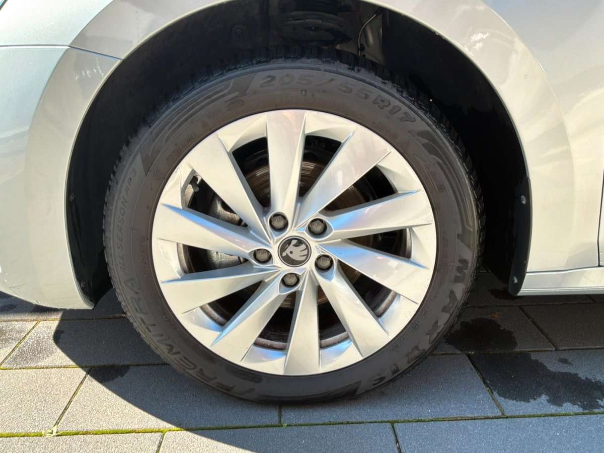 Fahrzeugbild eines Skoda Octavia