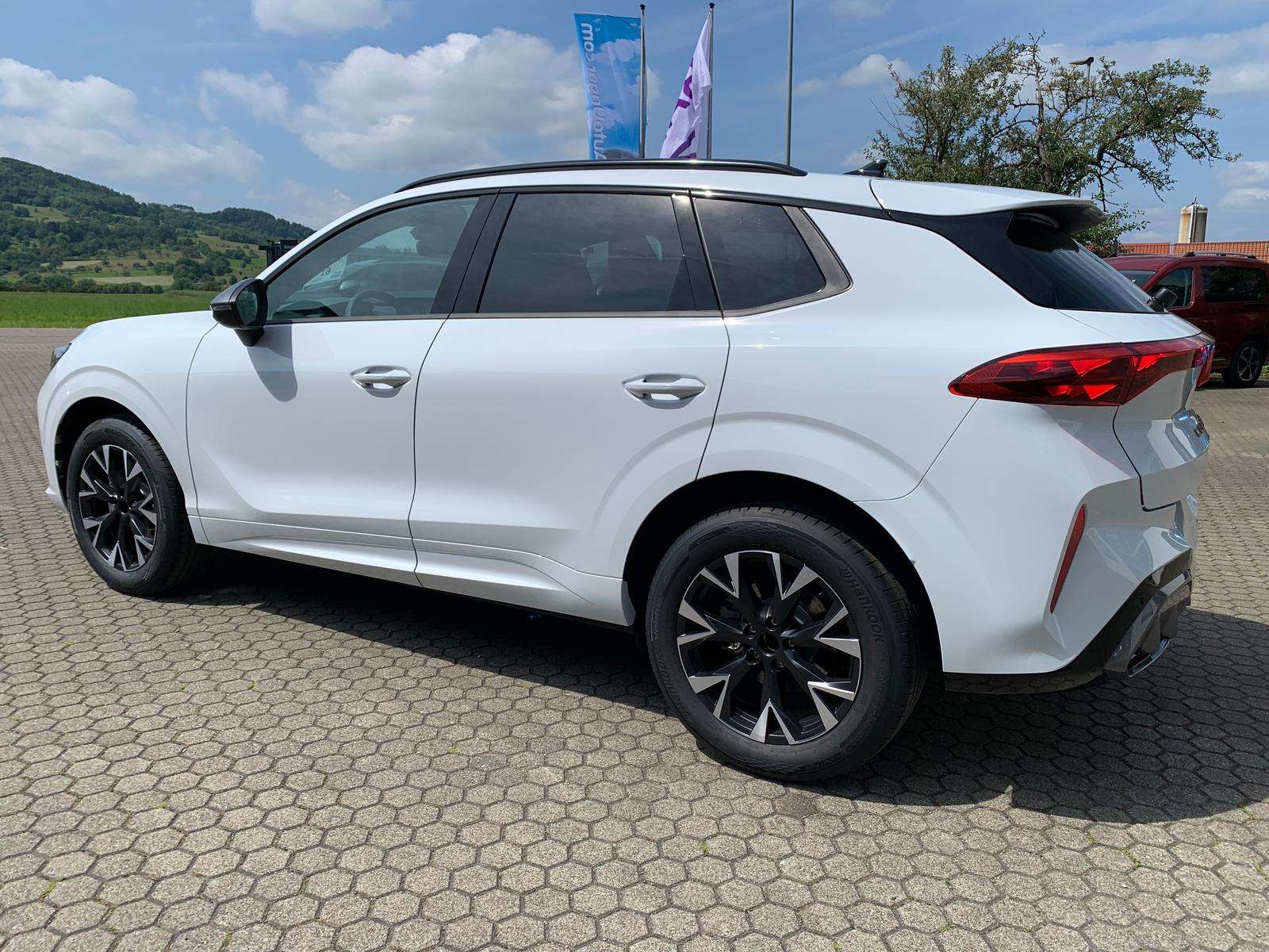 Fahrzeugbild eines CUPRA Terramar