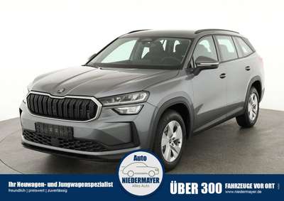 Bild Skoda Kodiaq