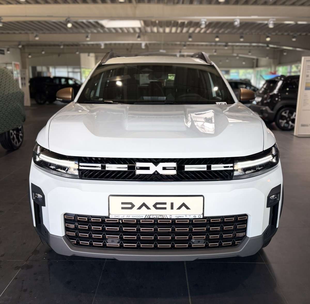 Fahrzeugbild eines Dacia Bigster