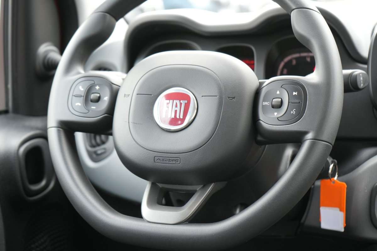 Fahrzeugbild eines Fiat Panda