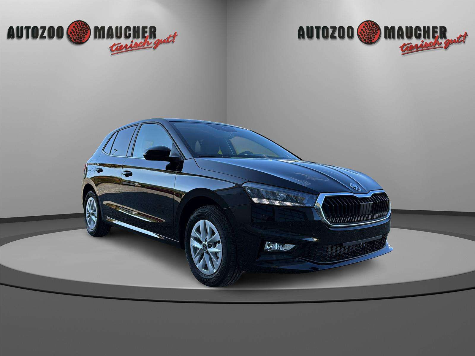 Fahrzeugbild eines Skoda Fabia