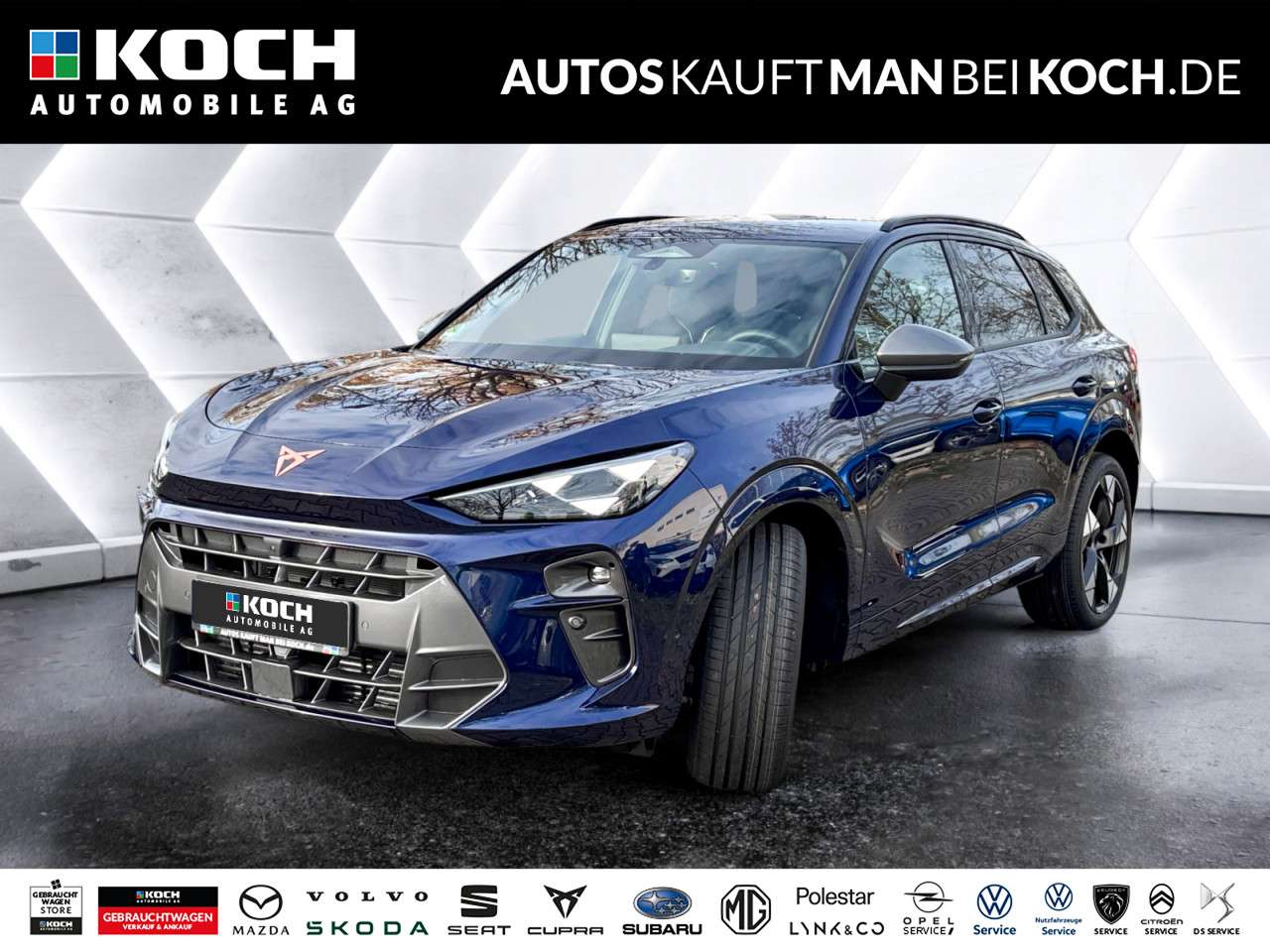 Fahrzeugbild eines CUPRA Terramar