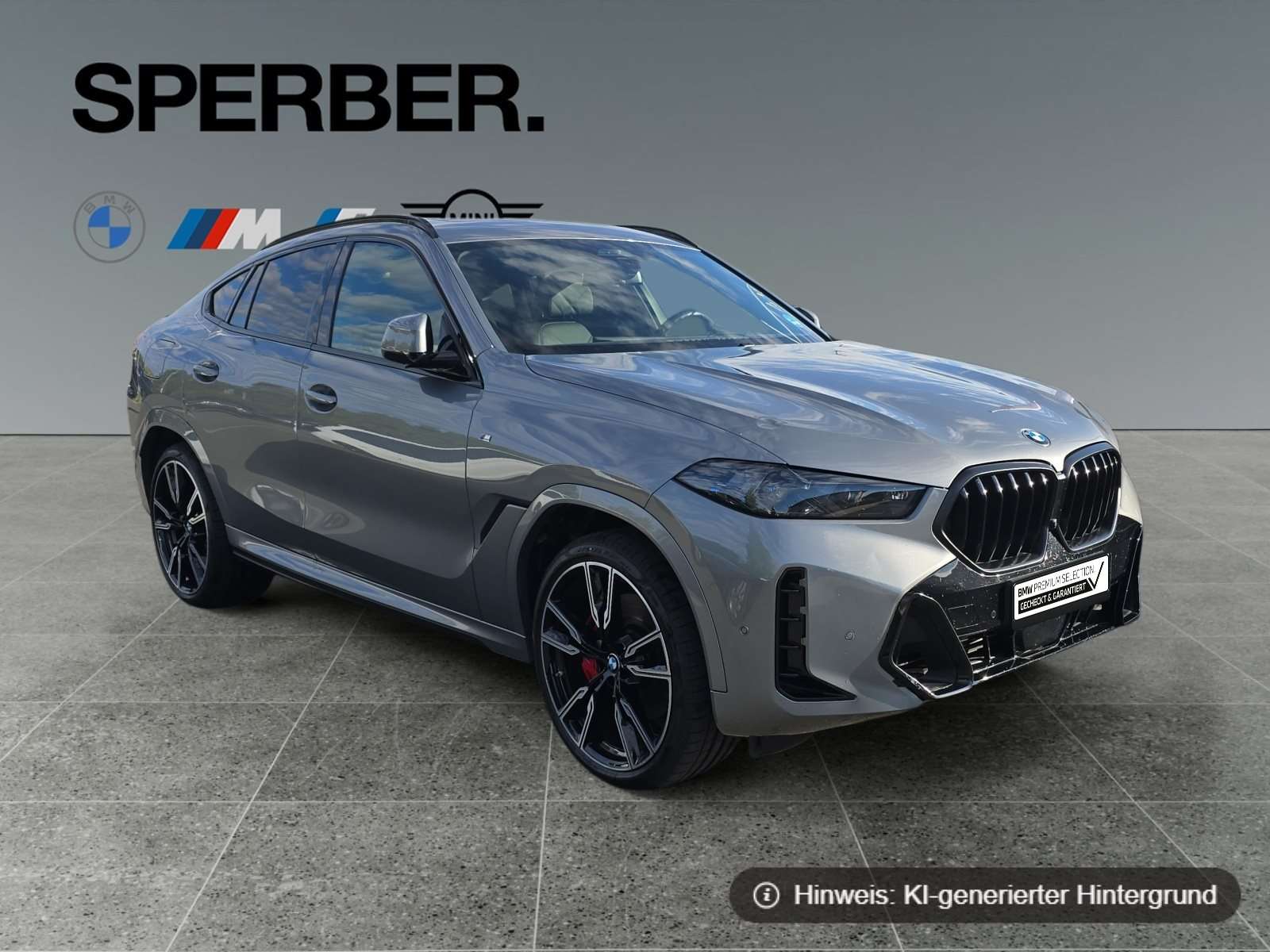 Fahrzeugbild eines BMW X6