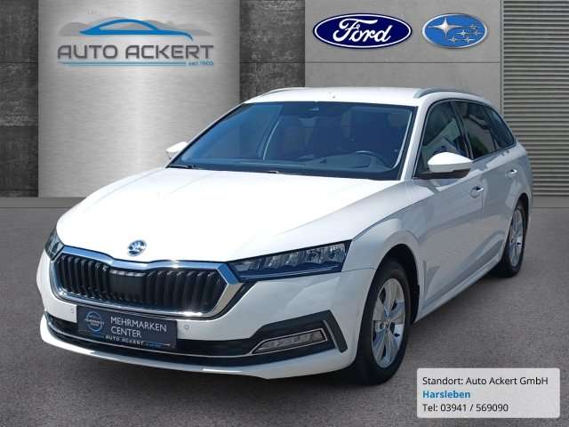 Fahrzeugbild eines Skoda Octavia