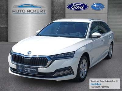 Bild Skoda Octavia