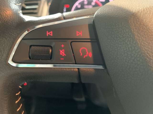 Fahrzeugbild eines SEAT Arona