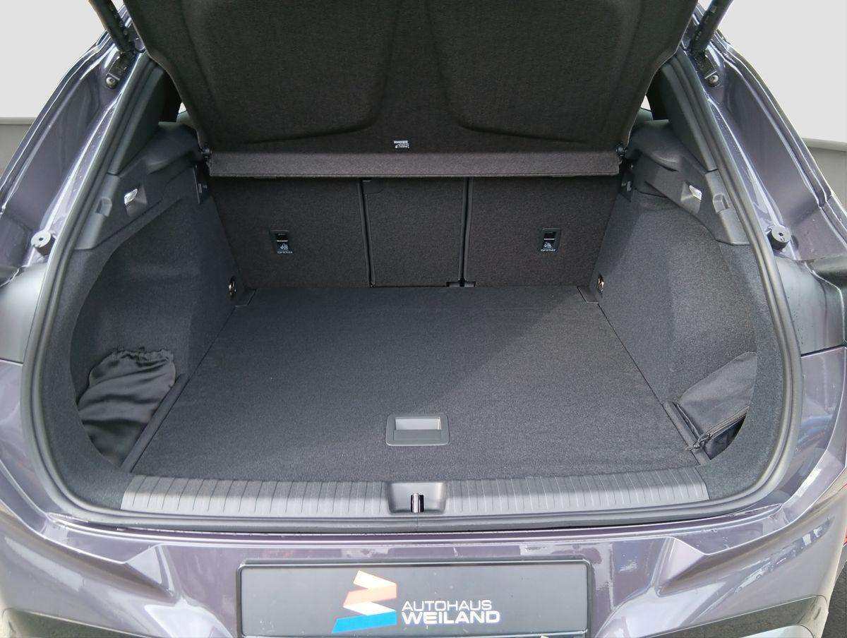 Fahrzeugbild eines CUPRA Terramar