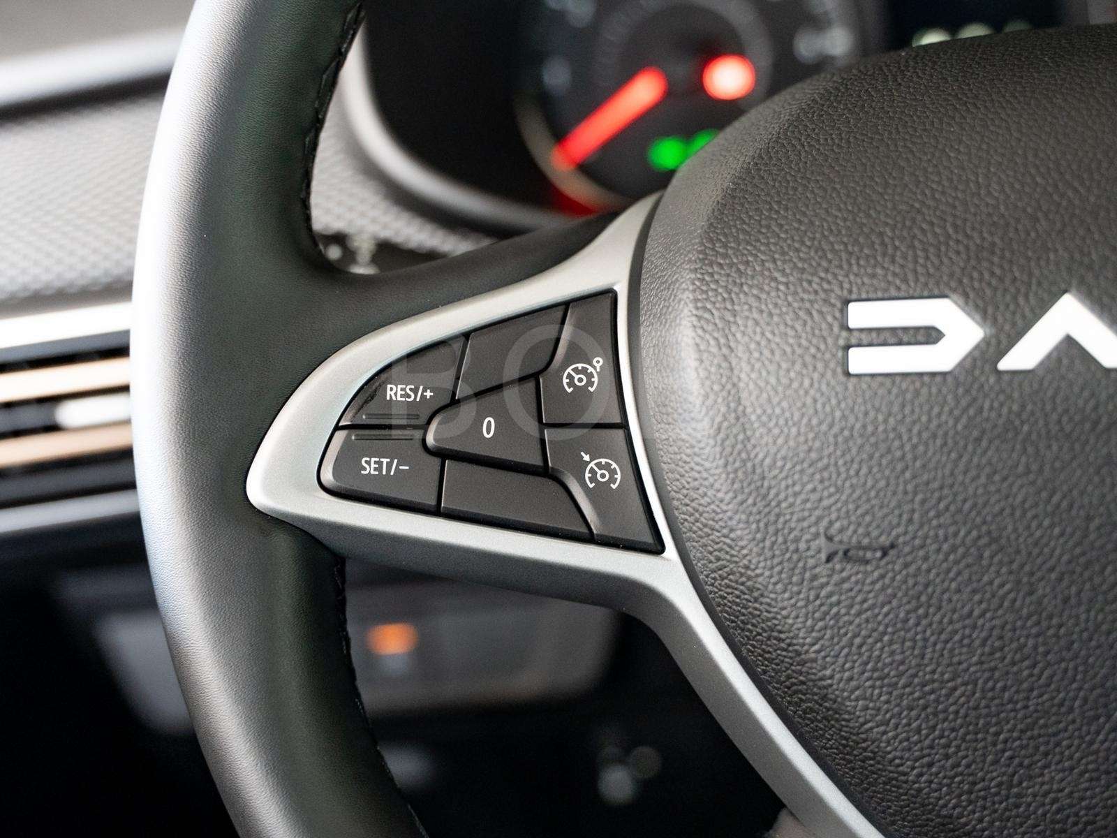 Fahrzeugbild eines Dacia Sandero