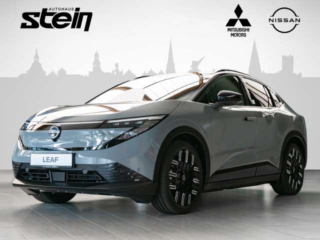 Fahrzeugbild eines Nissan Leaf