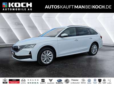 Bild Skoda Octavia