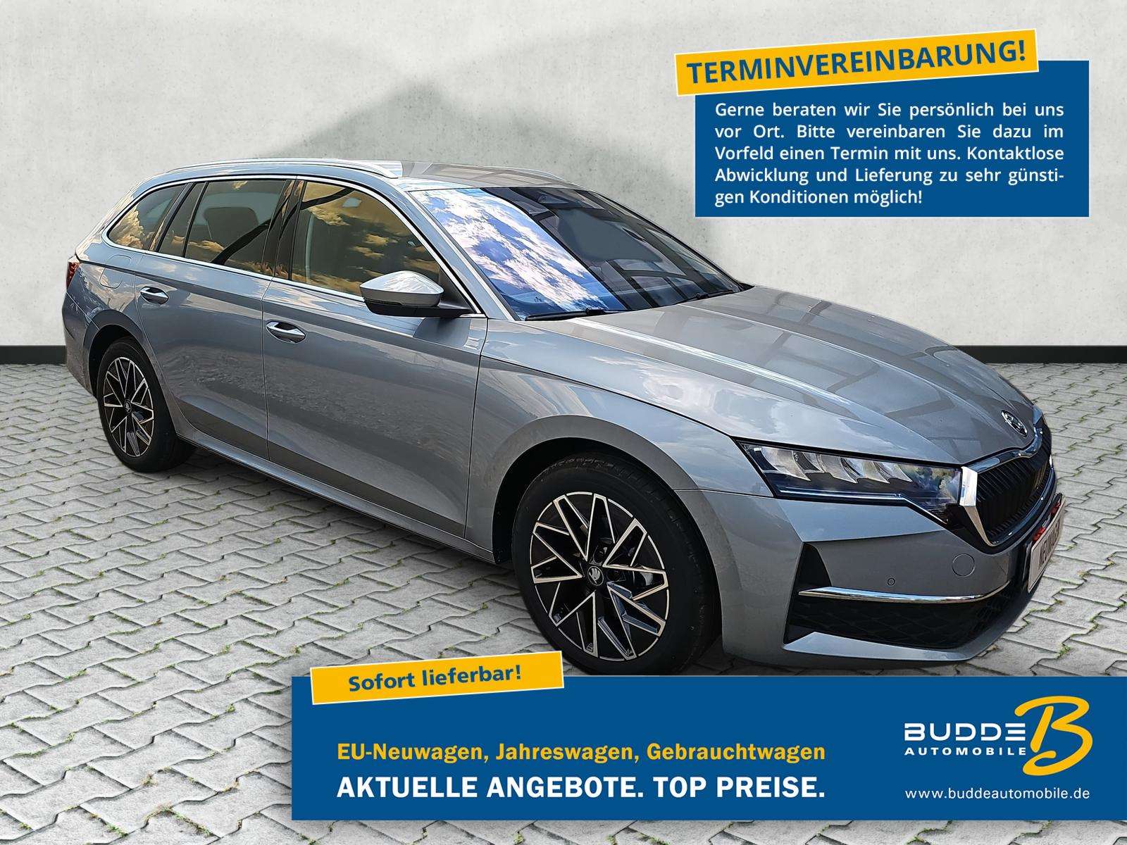 Fahrzeugbild eines Skoda Octavia