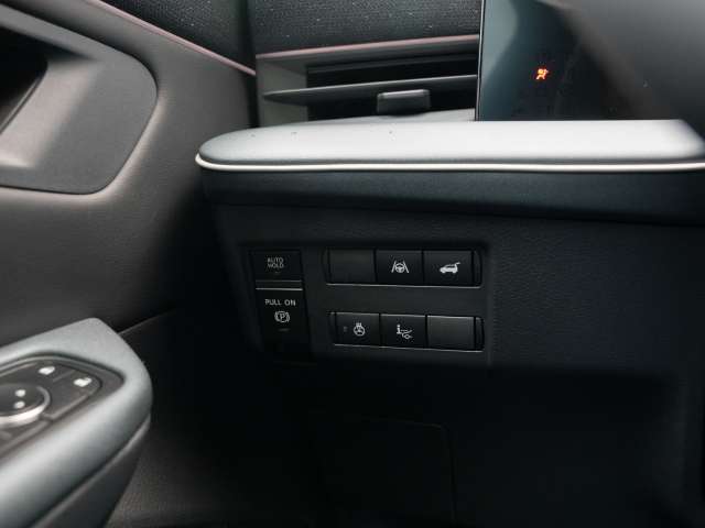 Fahrzeugbild eines Nissan Leaf