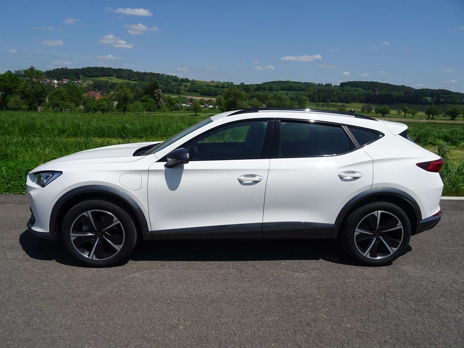 Fahrzeugbild eines CUPRA Formentor