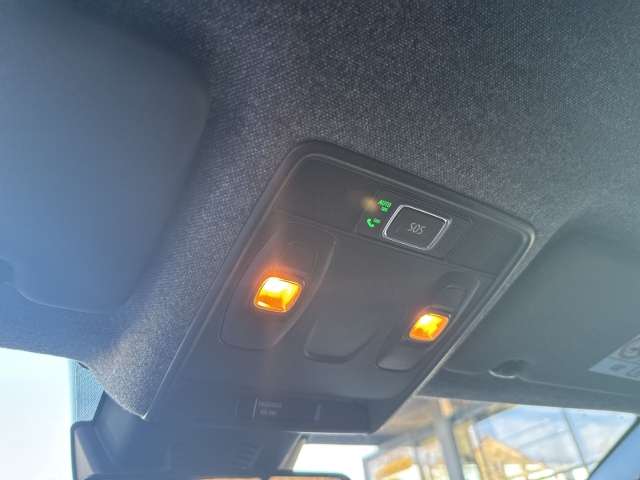 Fahrzeugbild eines Renault Symbioz